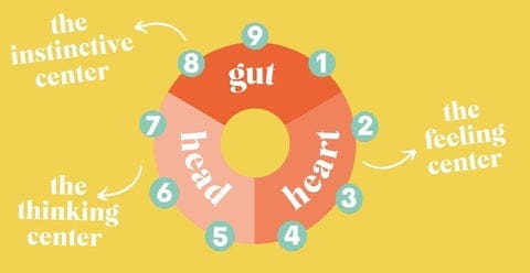 Enneagram Centers of Intelligence Triad