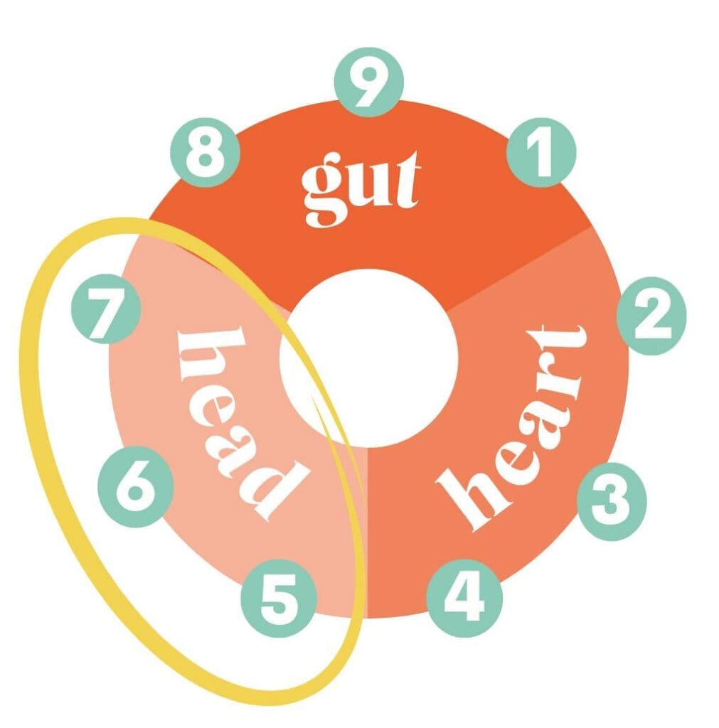An image showing the Enneagram Centers of Intelligence Triad. The Enneagram Type 5 is found in the Head Triad.